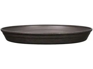 plant saucer scaled