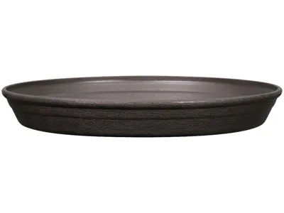 plant saucer scaled