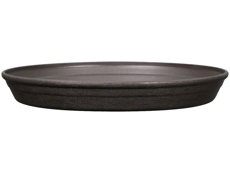plant saucer scaled