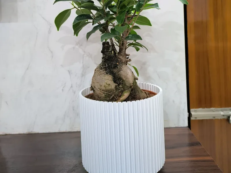 Simple pot