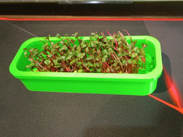 https://makerworld.bblmw.com/makerworld/model/DSM00000001459036/design/2025-05-27_132294acf5c678.jpeg