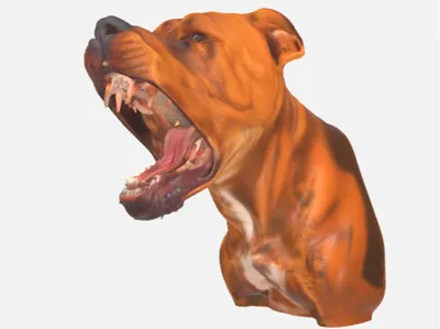 PitBull Bust