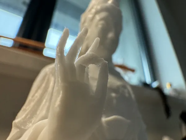https://makerworld.bblmw.com/makerworld/model/DSM00000001462100/design/2024-09-26_92b3fd90e94c2.jpg
