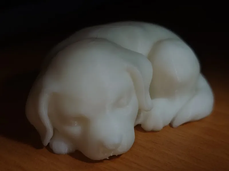 cute sleepy dog