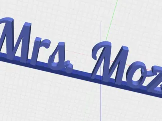 Mrs.Mozer