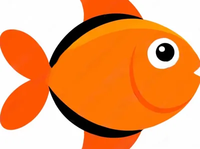 Fish baby toy