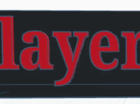 layer slayer