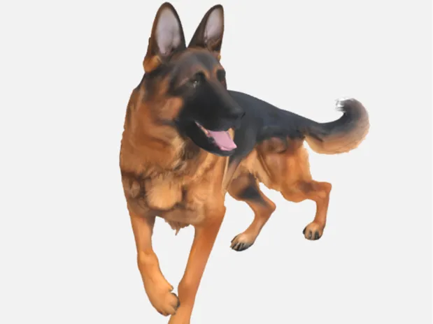 GermanShepherd