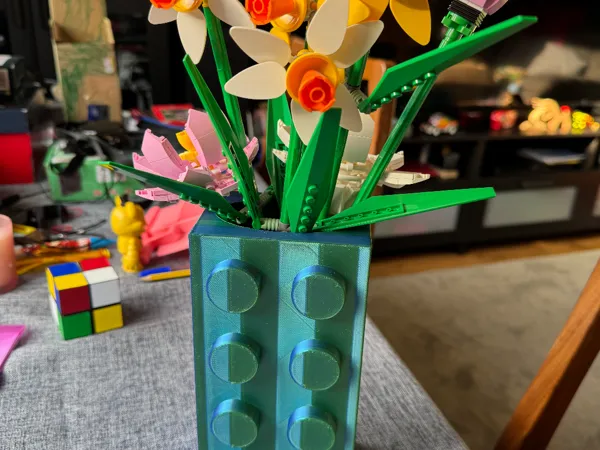 https://makerworld.bblmw.com/makerworld/model/DSM00000001467454/design/2025-05-29_2b990a6193e328.jpg