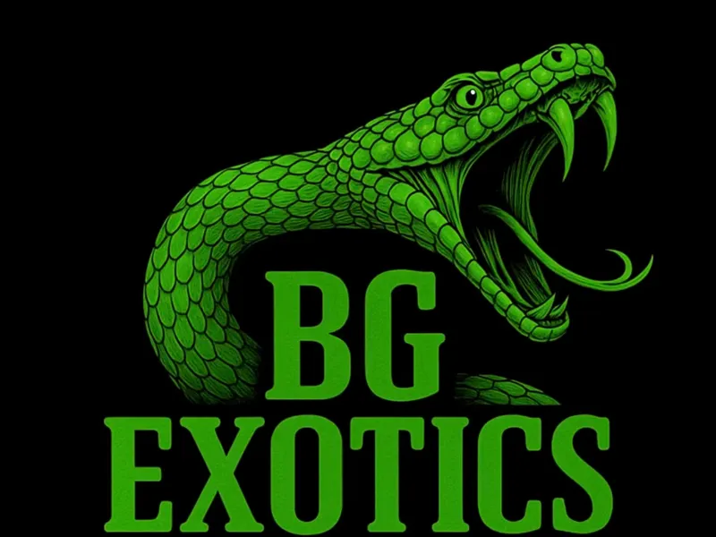 bg exotic