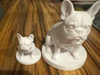 Bouledogue — photo 1