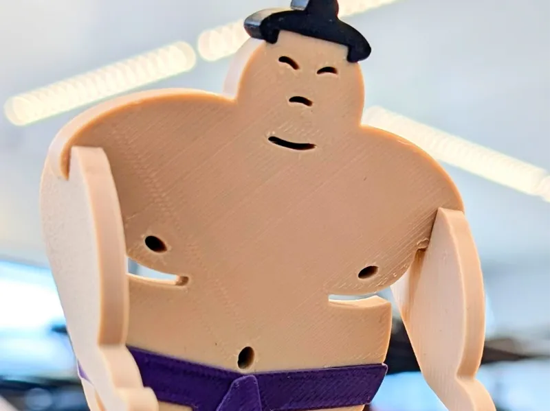 DIY thicc sumo wrestler flat-pack
