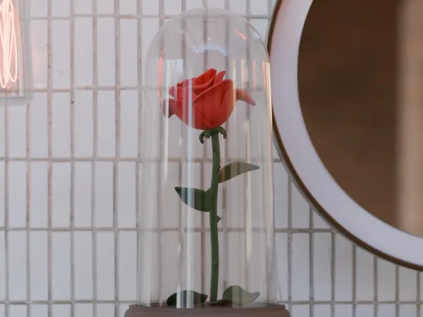 https://makerworld.bblmw.com/makerworld/model/DSM00000001469218/design/2025-05-30_9e2733b9c53788.jpg