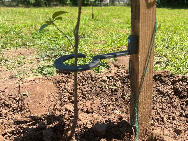 Plant/Small Tree Support