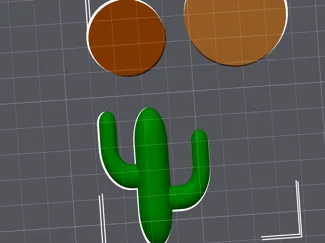 Cactus/Cacti