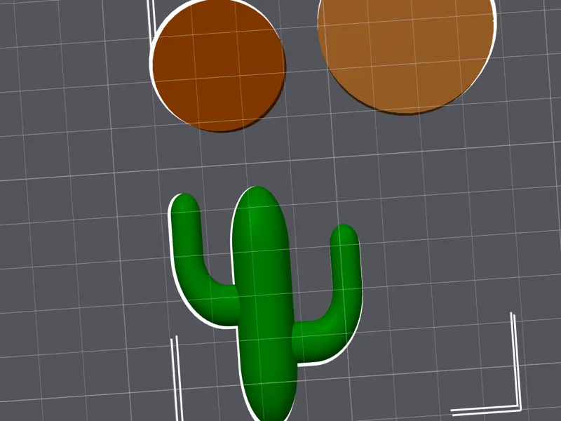 Cactus/Cacti