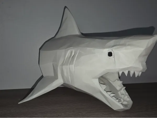 https://makerworld.bblmw.com/makerworld/model/DSM00000001471049/design/2025-05-30_97cc830126fab.jpg