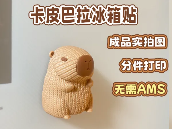 https://makerworld.bblmw.com/makerworld/model/DSM00000001472084/design/2025-05-31_d92c7477946e78.jpg