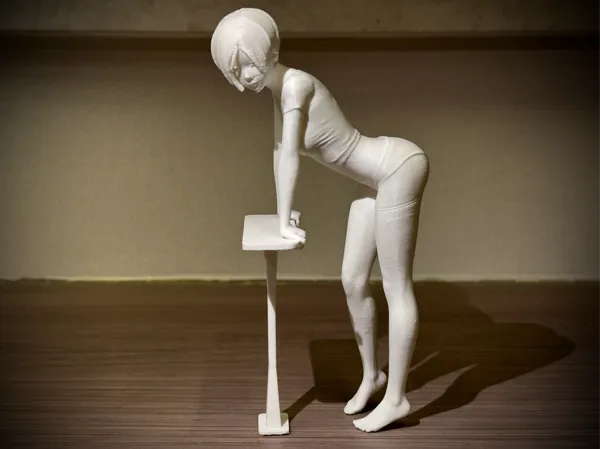 https://makerworld.bblmw.com/makerworld/model/DSM00000001472585/design/2025-05-16_4820ce1d0b836.jpg
