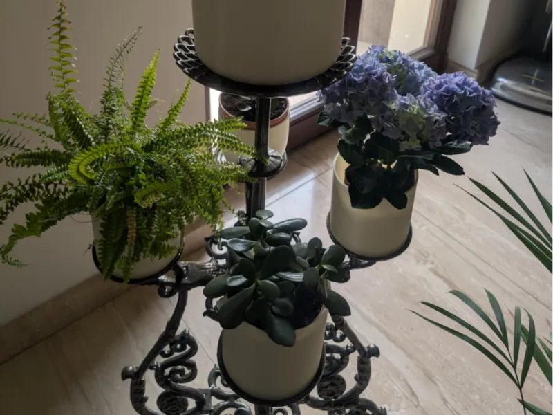 Flowerpot fi 13cm with wavy edge