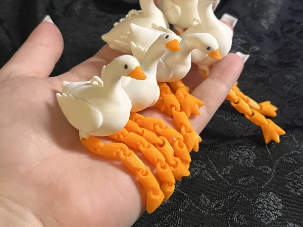 https://makerworld.bblmw.com/makerworld/model/DSM00000001474117/design/2025-09-19_73dcb53d4e0148.jpg