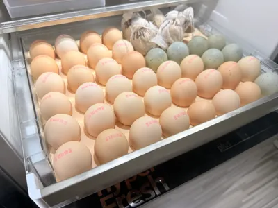 Refrigerator Egg Tray Modular Design