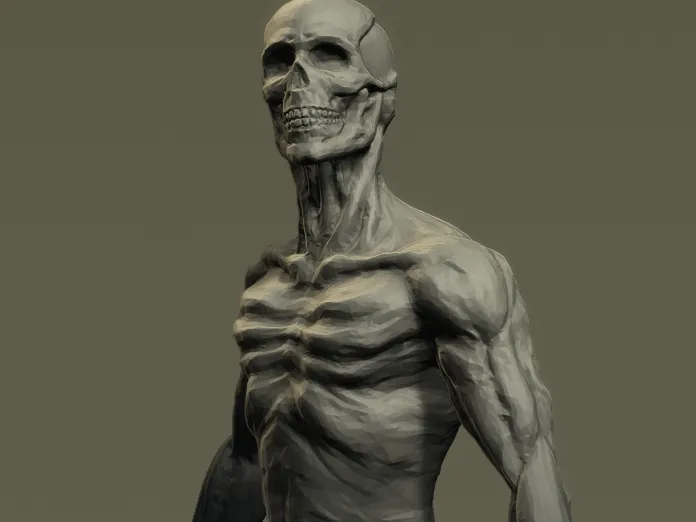 Silent anatomy
