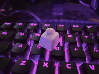 Capybara keycap