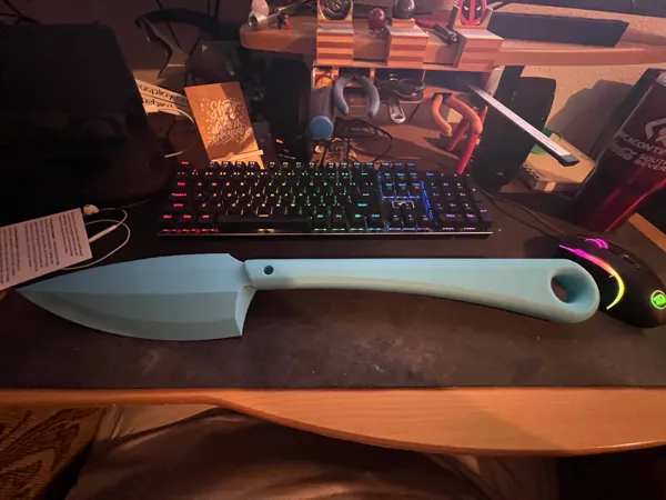https://makerworld.bblmw.com/makerworld/model/DSM00000001477906/design/2025-06-01_43f41abdca0b4.jpg