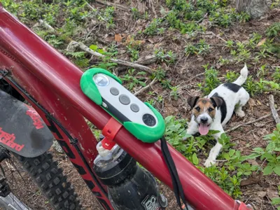PatPet E Collar Remote Case