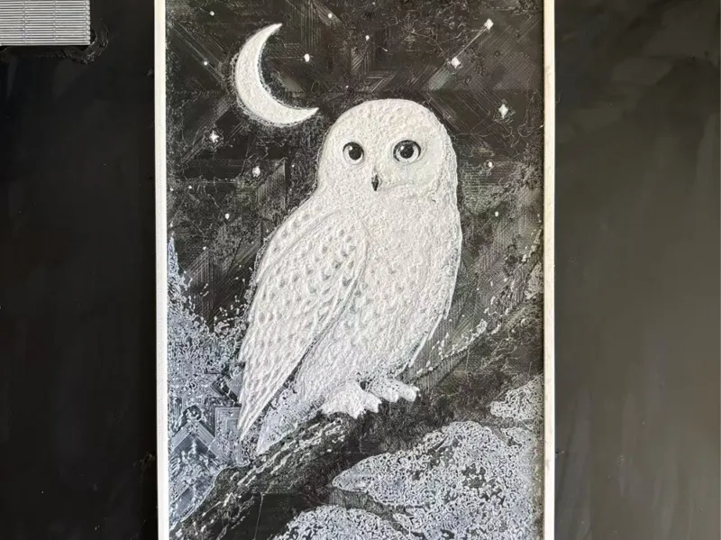 浮雕画——哈利波特 猫头鹰海德薇