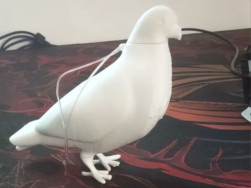鸽子模型（分体）