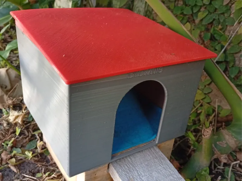 Guinea Pig House