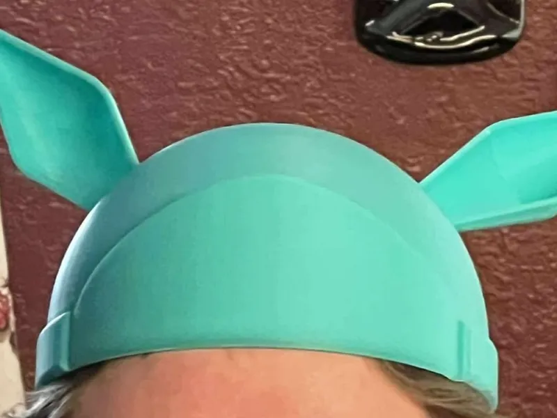 Eevee hat
