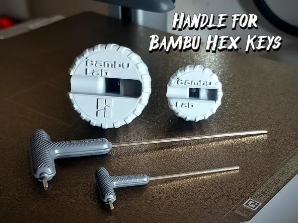 https://makerworld.bblmw.com/makerworld/model/DSM00000001480713/design/2025-06-02_1367889ff00e08.jpg