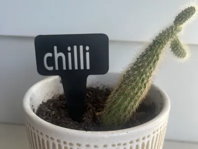 plant name stake - chilli