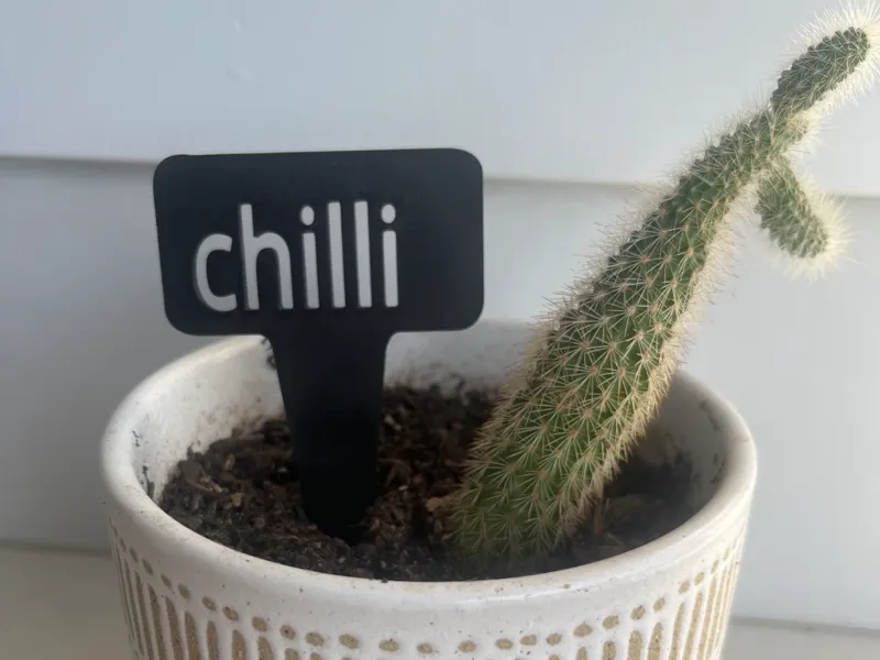 plant name stake - chilli