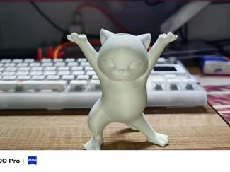 妖娆猫 万物皆可举