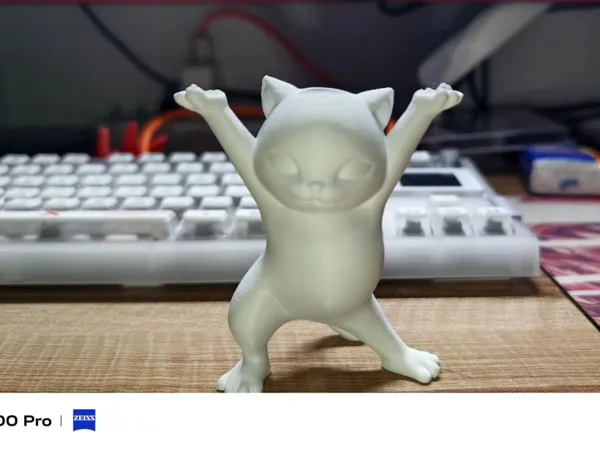 https://makerworld.bblmw.com/makerworld/model/DSM00000001482884/design/2024-07-20_7b89f35f2bcf8.jpg