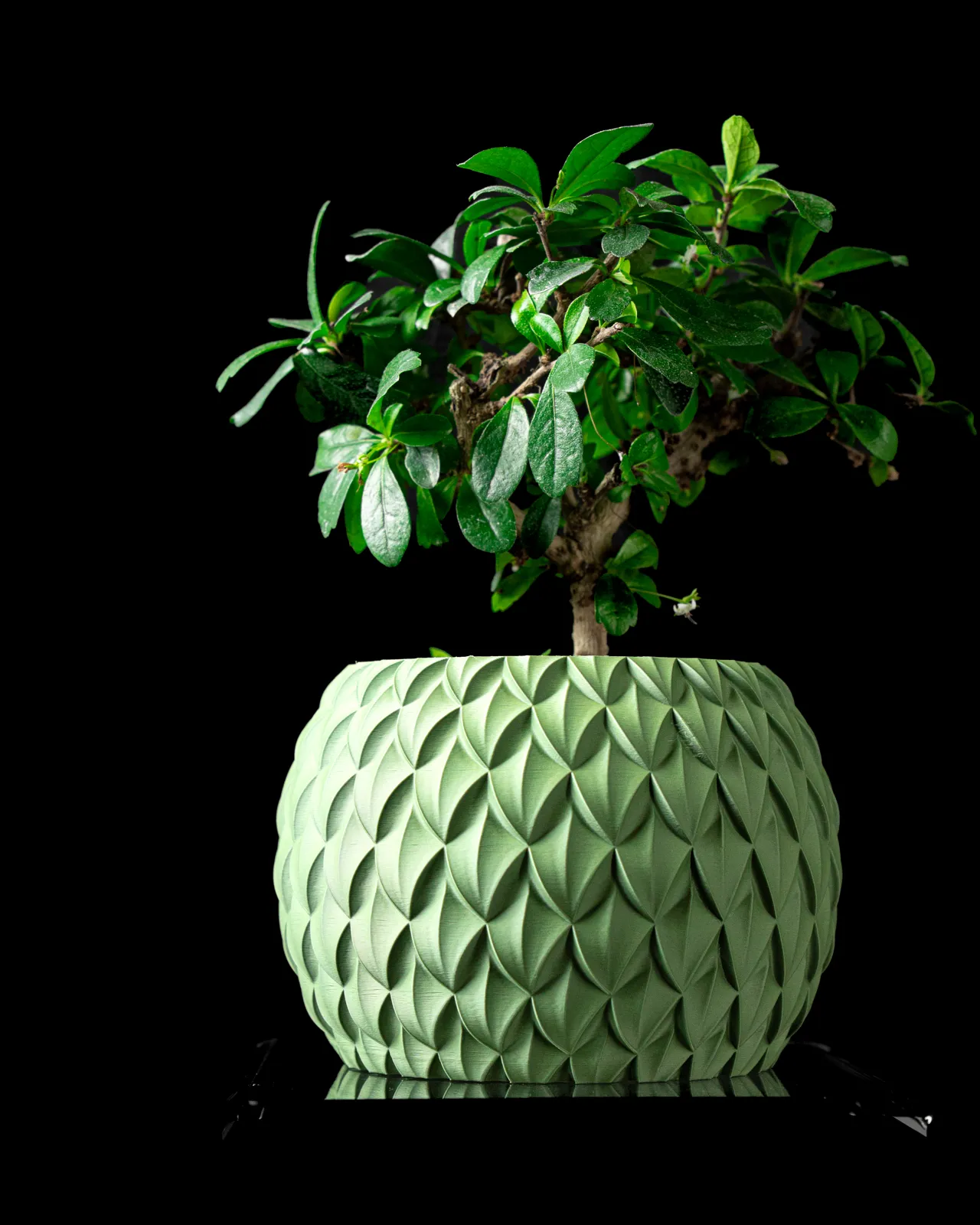 Scale Planter Pot by MODERN MACHINE view 2