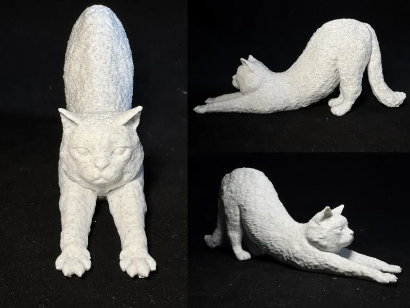 伸懒腰猫咪 细腻毛发纹理