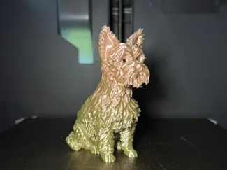 坐姿约克夏犬