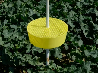 Trap tray for pest control and plant protection