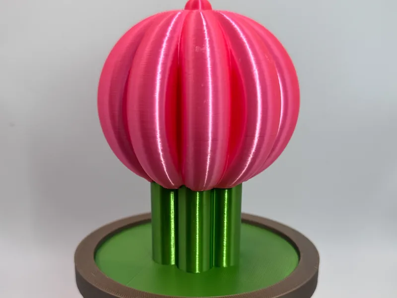 Cactus