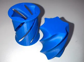 spiny fidget 
