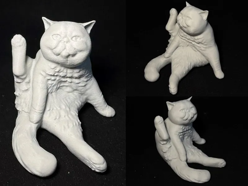 慵懒坐姿小胖猫_舔毛的时候被打扰了？