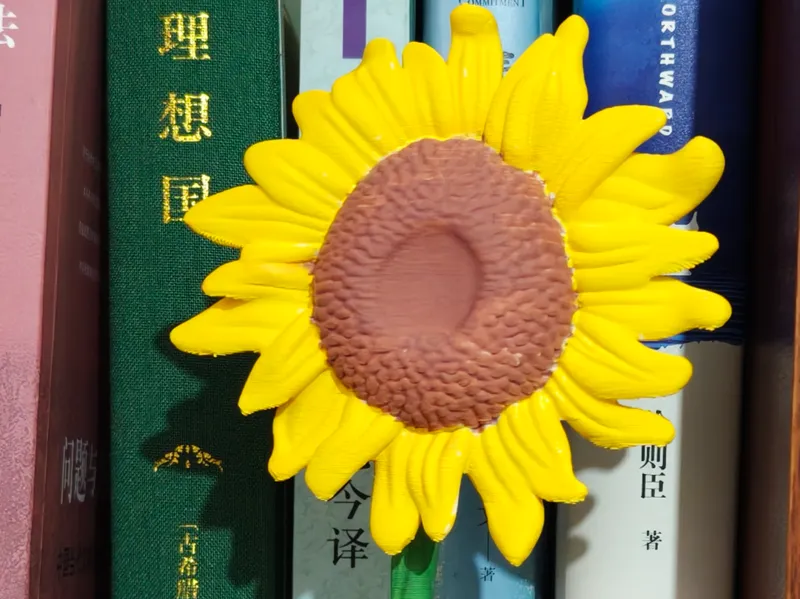 一举夺魁