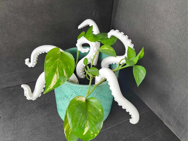 https://makerworld.bblmw.com/makerworld/model/DSM00000001491410/design/2025-06-06_7c129cb903dd7.jpg