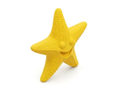 Happy Starfish