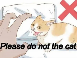 please do not the cat